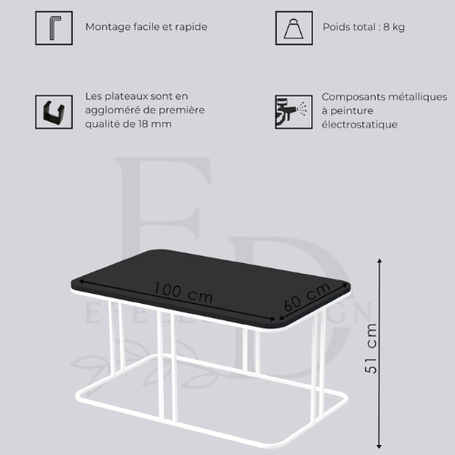 Table basse Lyon rectangulaire bois clair structure métal noir